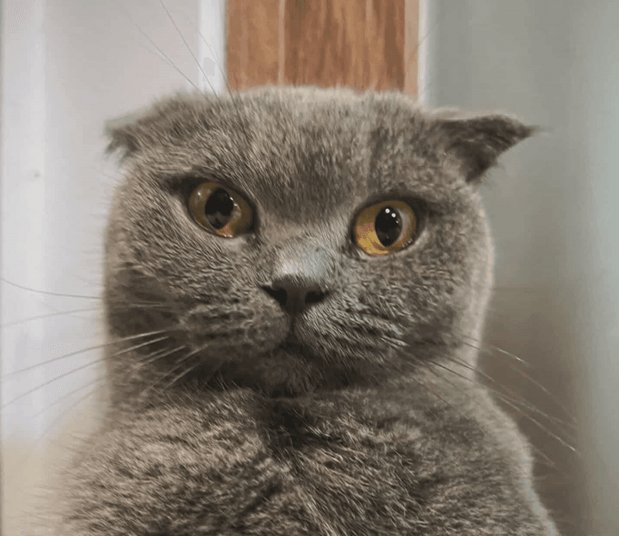 Nguyen Anh Truong Tai avatar